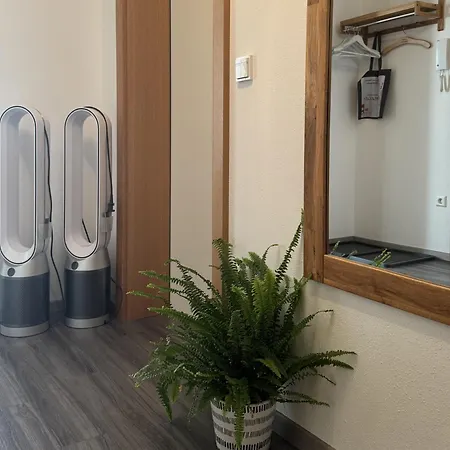 Romana - Altstadt Appartement Schladming