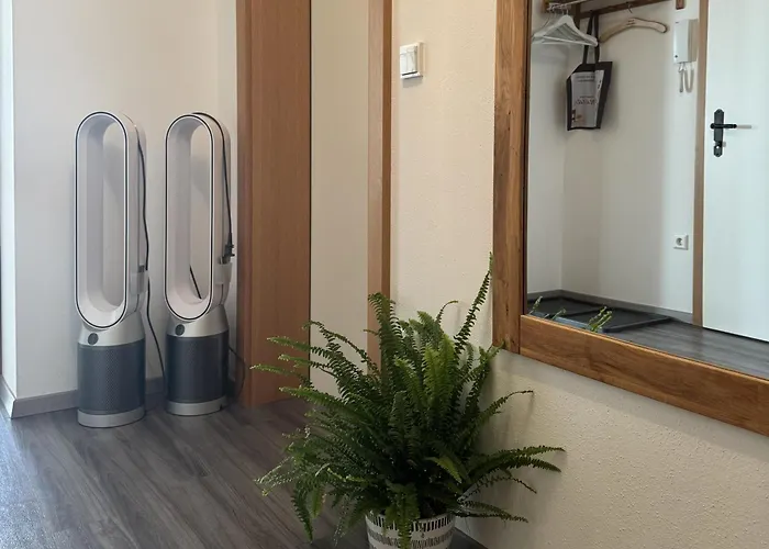 Romana - Altstadt Apartment Schladming